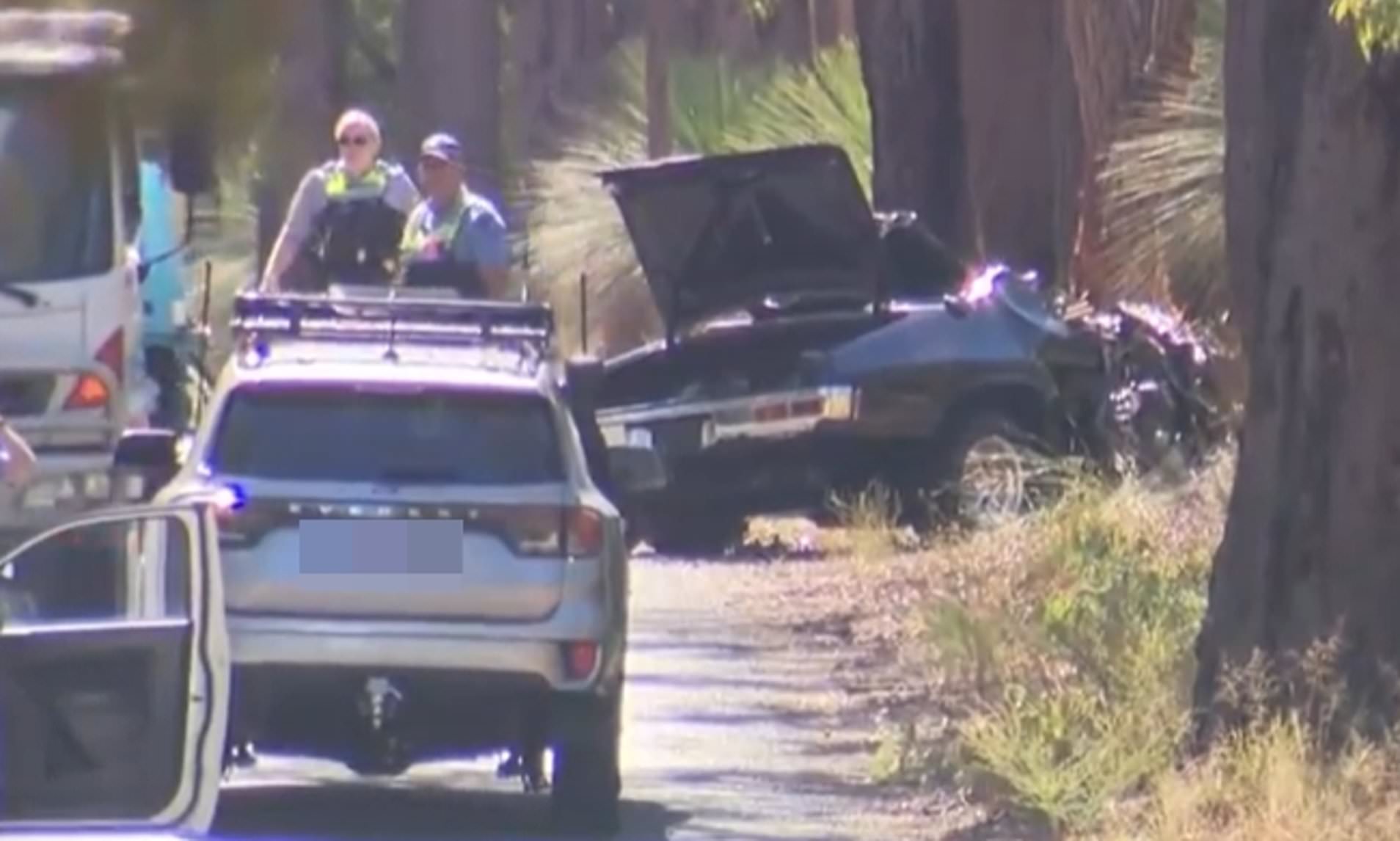 Three dead in horror crash after car veered off the road and hit a tree ...