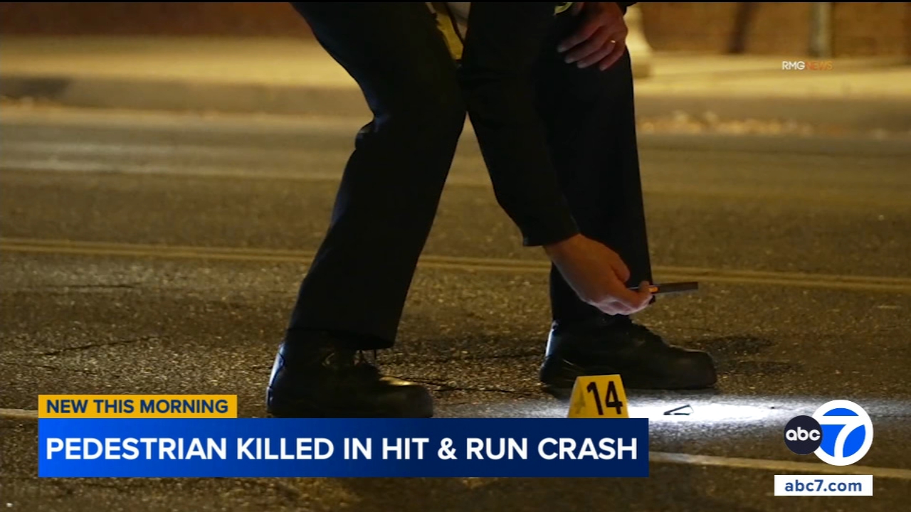 Pedestrian dies after being struck by hit-and-run driver in Winnetka ...
