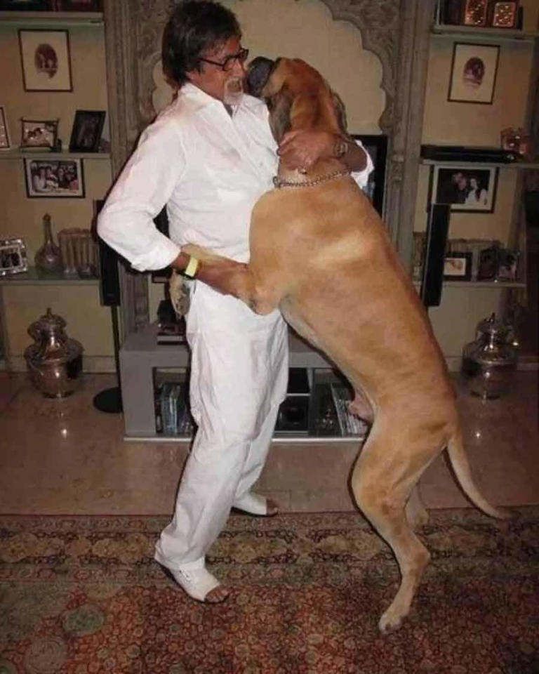 Bollywood stars celebrate National Pet Day with their adorable companions