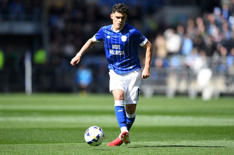 Superb Cardiff City player ratings as midfielder stands out despite ...