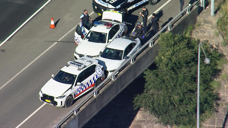 Three men were arrested following a police pursuit on one of Sydney's busiest motorways last month.