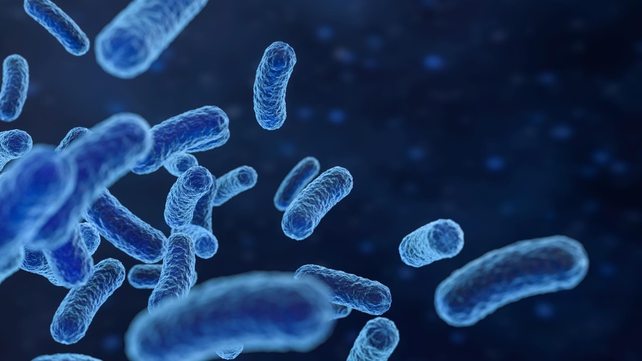 Scientists observe Asgard archaea-bacteria contact tied to complex life