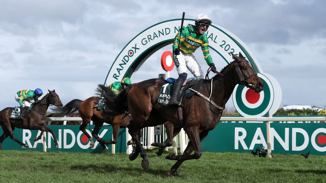 I Am Maximus: Beginner's guide to 2026 Grand National winner