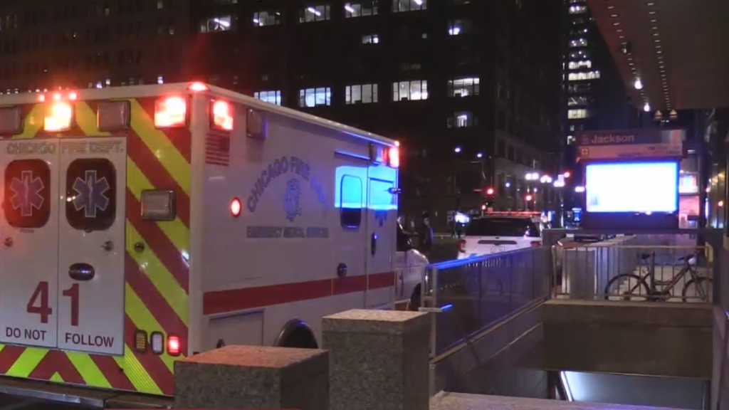 Man found dead on CTA Blue Line train in the Loop