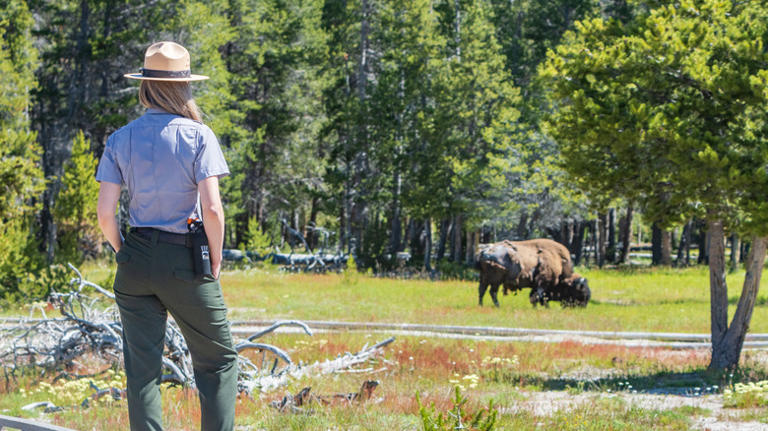The top 13 things park rangers wish you knew before visiting a state or ...