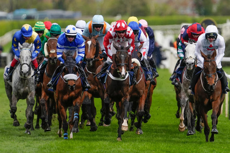 Grand National horse tragically dies after pulling up during race