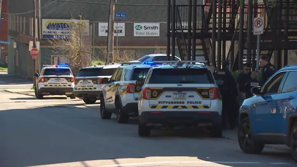 Pittsburgh police detective bitten by dog during pursuit, dog shot & killed