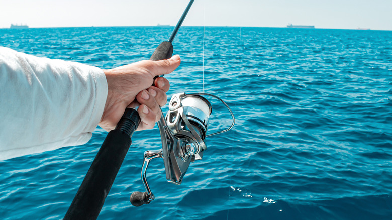 One of Amazon's top-selling fishing rods is a portable and affordable ...
