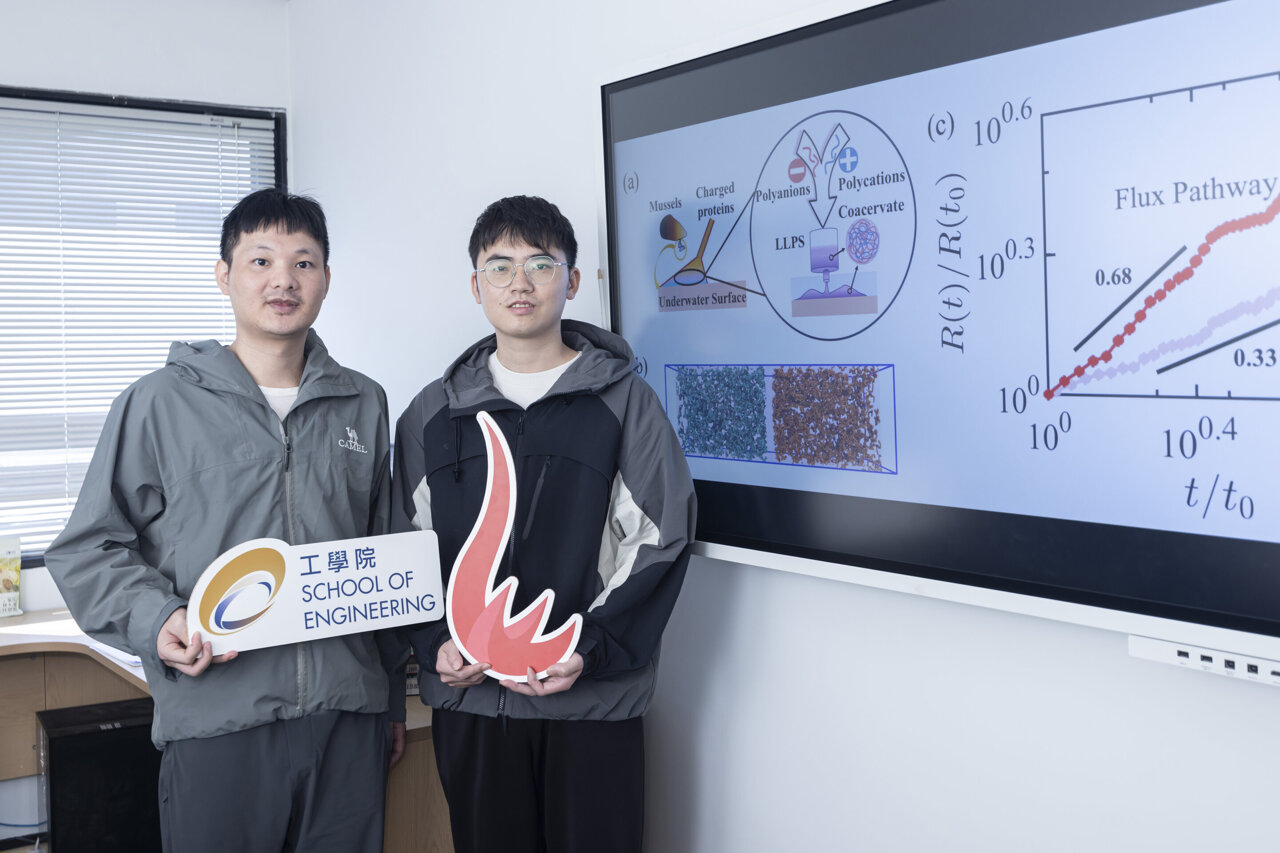 Flux pathway reveals why mussel-like liquid phase separation can happen ...