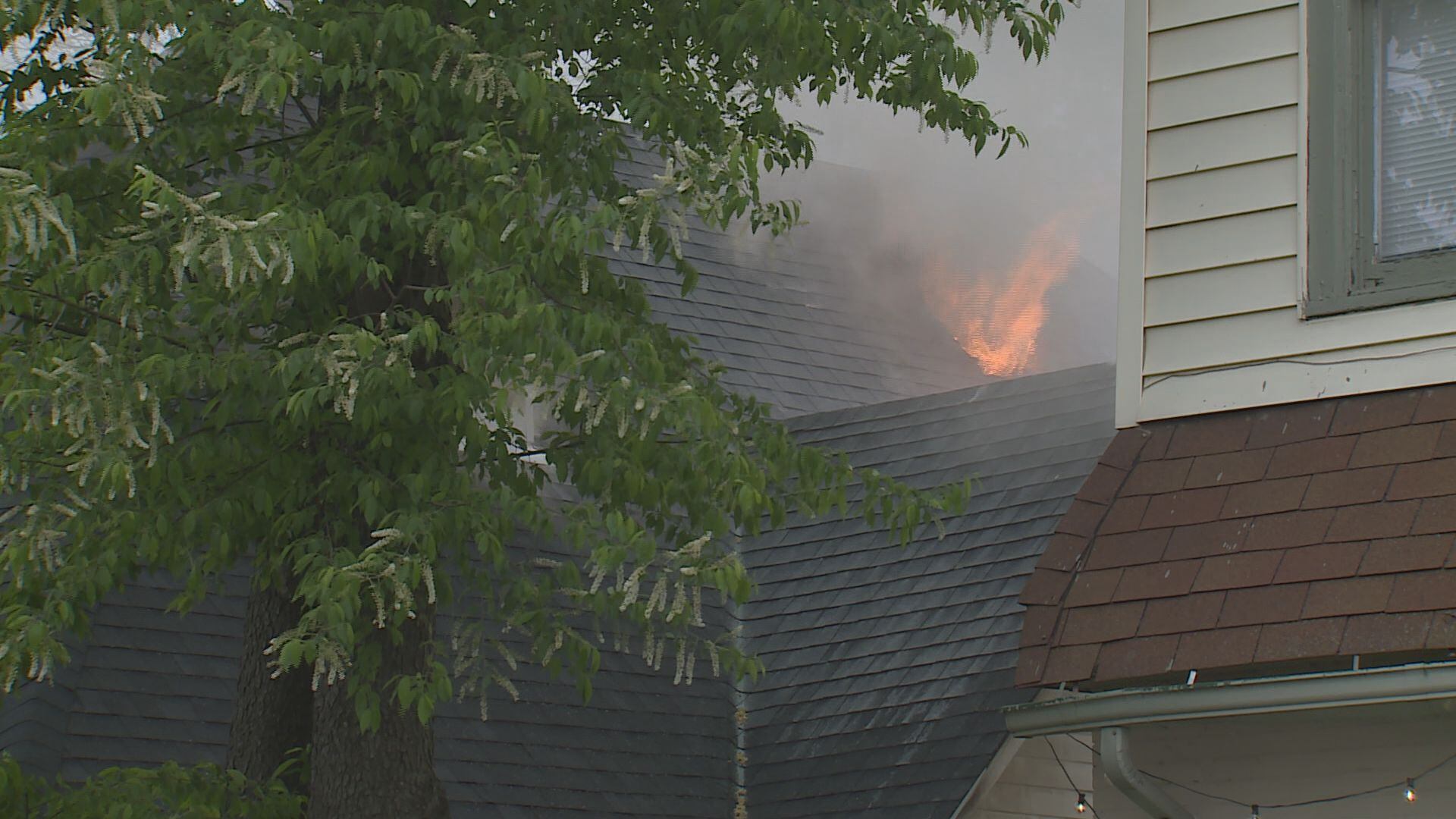 Lexington fire crews respond to house fire