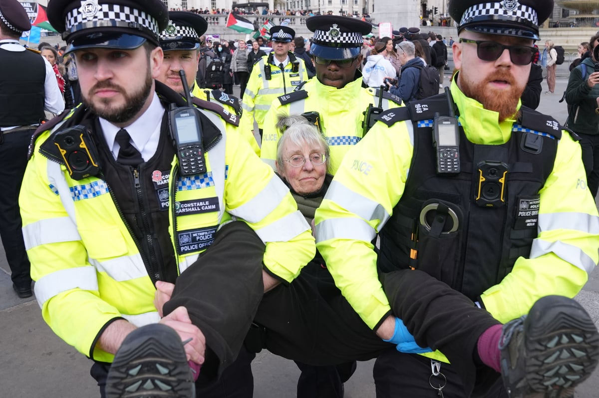 Palestine Action ban protest in London sees 523 people arrested