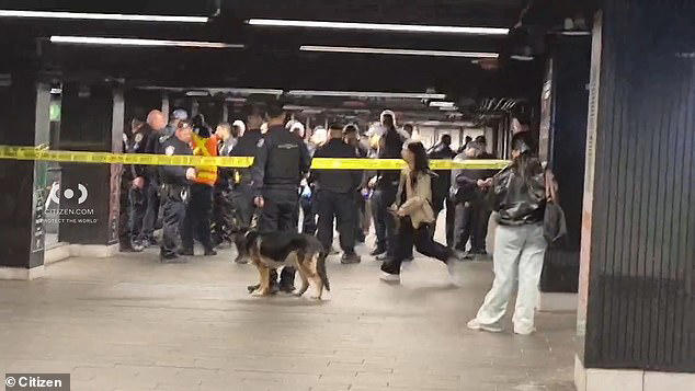 Chaos at Grand Central in New York as machete-wielding man shot by cops ...