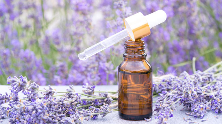 Lavender Essential Oil