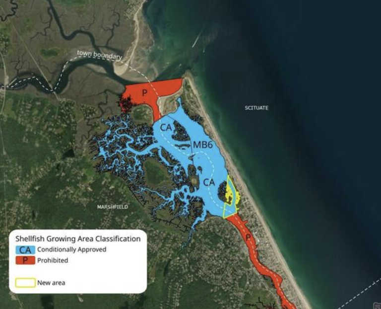 Scituate & Marshfield gain new shellfishing access after years of water ...