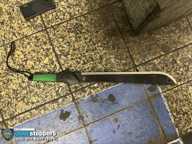 Man with machete fatally shot at NYC's Grand Central after slashing ...