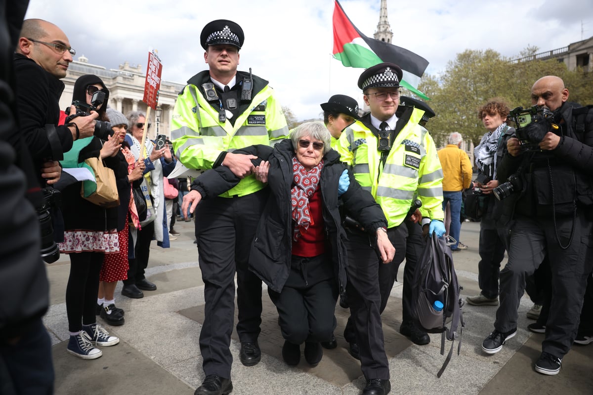 Over 200 arrests as hundreds gather for Palestine Action protest