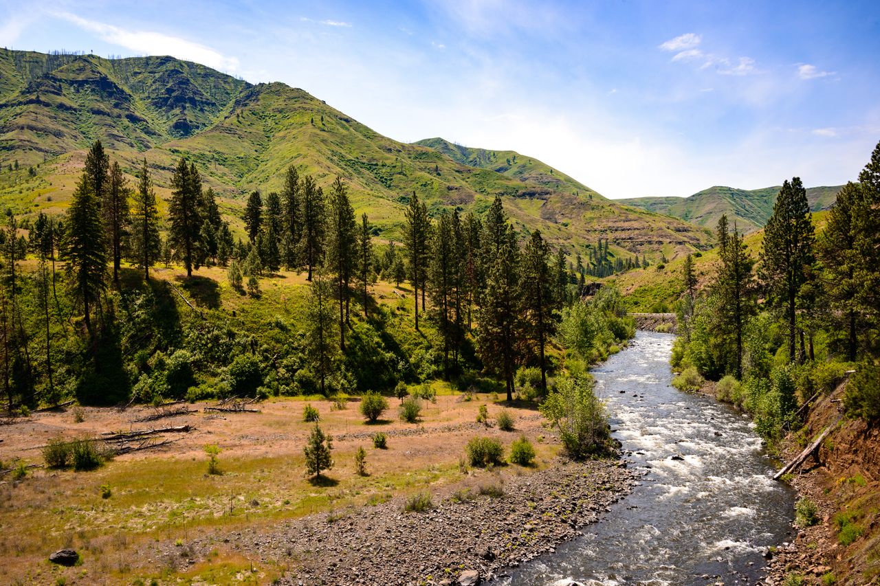 A view of Hells Canyon with the Snake River running through it surrounded by trees and hilly terrain