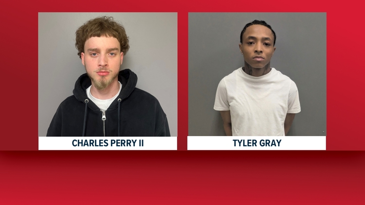Two men arrested after shooting into Decatur homes