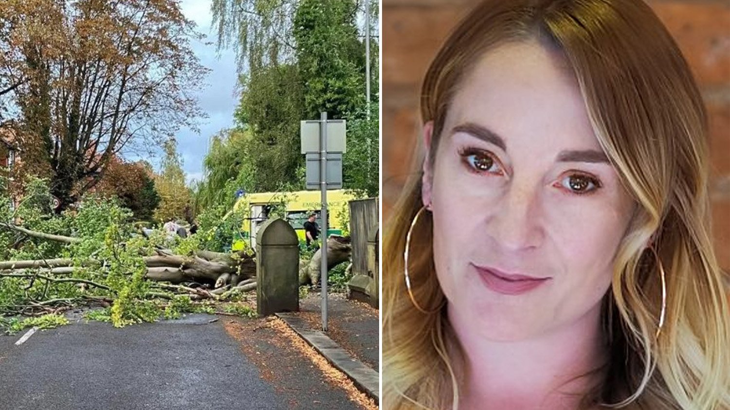 Woman killed on evening walk with husband after decaying tree collapses