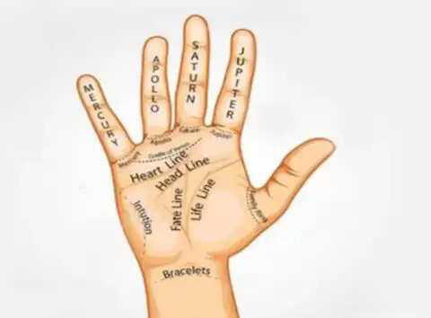 Understanding the significance of the sun line in palmistry