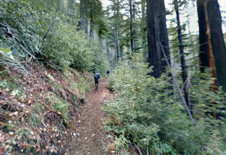 Woman's death along Big Sur hiking trail being treated as suspicious