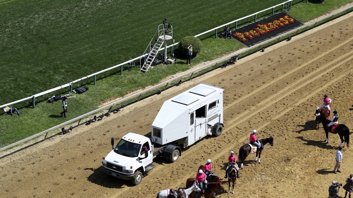 Jockey Toby McCain-Mitchell banned after horse collapse at Grand National