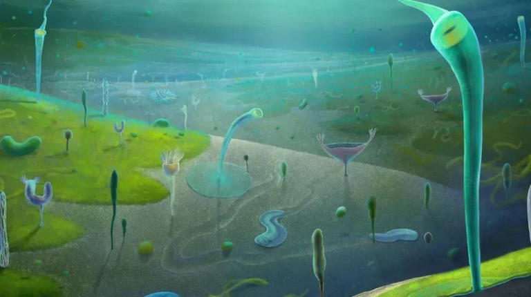 Ilustração do ambiente dos fósseis há cerca de 539 milhões a 554 milhões de anos.