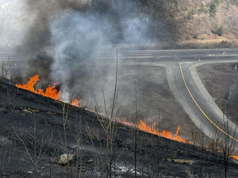 KY's overlooked wildfire risk is growing. System to fight it may be ...