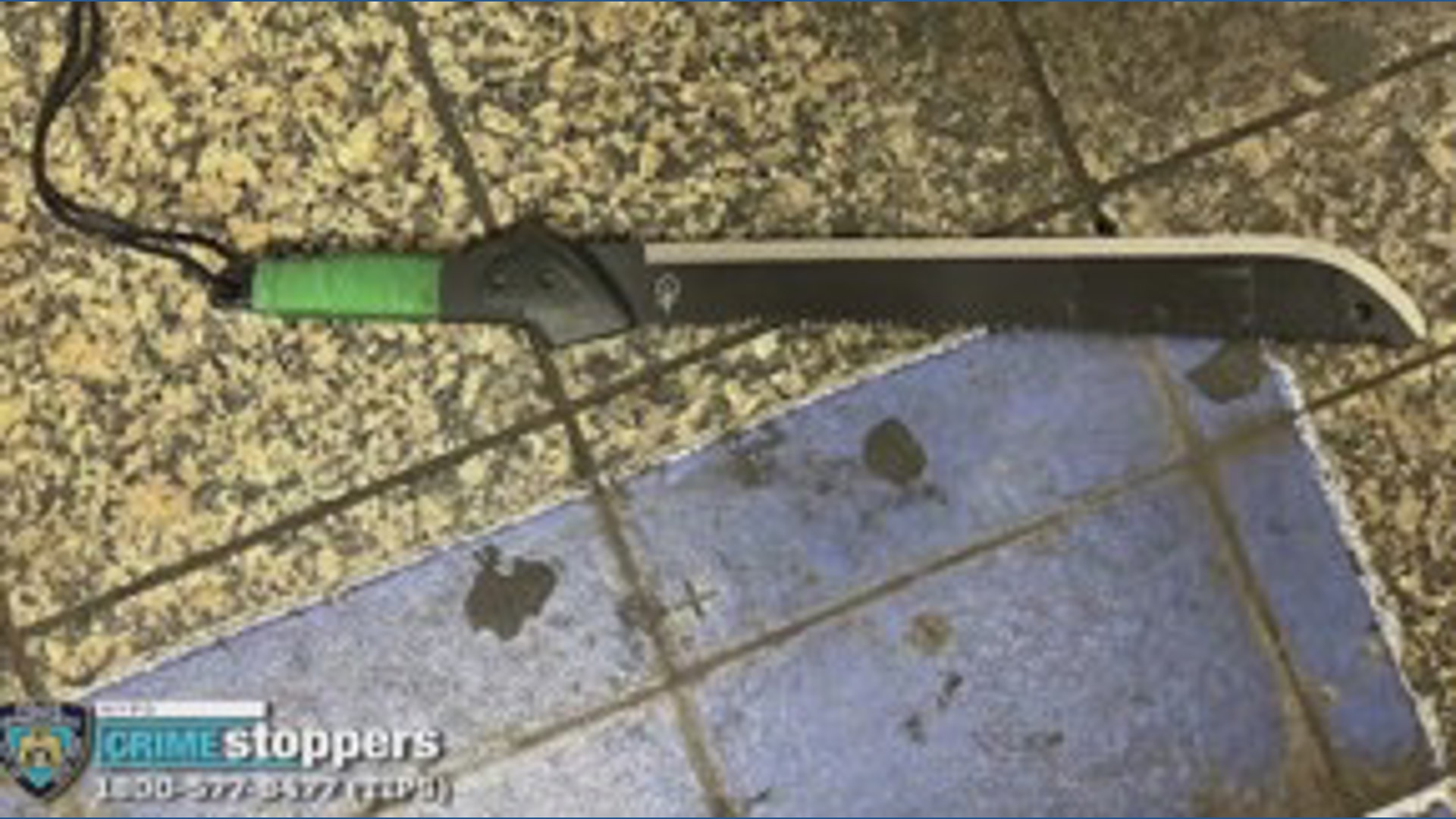 Suspect in Grand Central machete attack fatally shot by NYPD