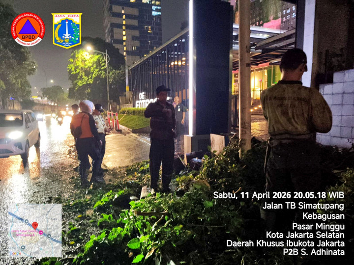 BPBD: Tiga Pohon Tumbang di Kebagusan Jaksel Pekan Ini, Timpa Mobil dan Rumah