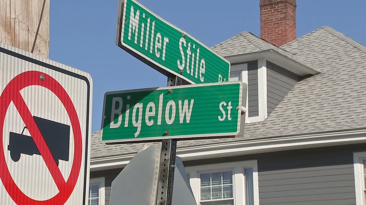 DHS spokesperson says driver attempted to hit agent during vehicle stop ...