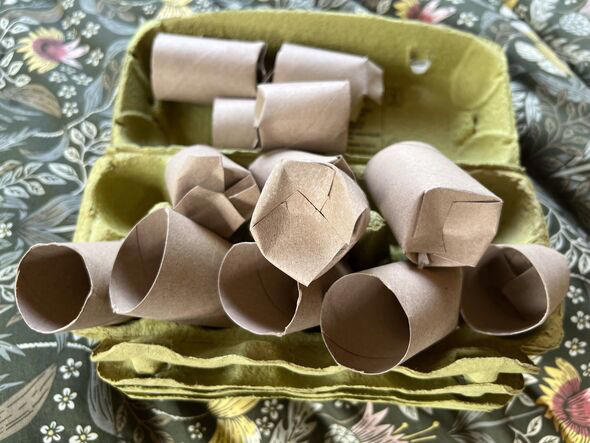 Households urged to leave toilet rolls outside for 'fantastic' reason