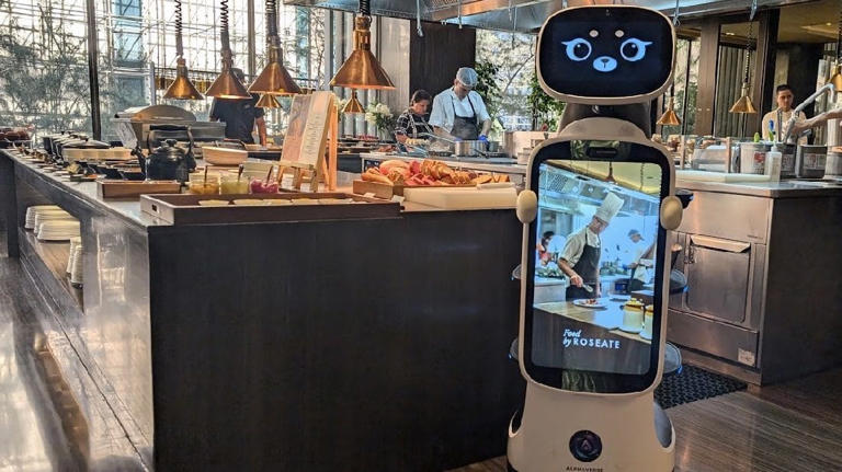 Indian restaurants are using robots. Backing them are DRDO brothers and ...