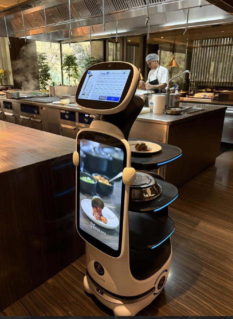 Indian restaurants are using robots. Backing them are DRDO brothers and ...