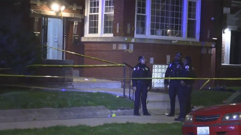 Shooting in Chicago's Auburn Gresham neighborhood leaves woman dead ...