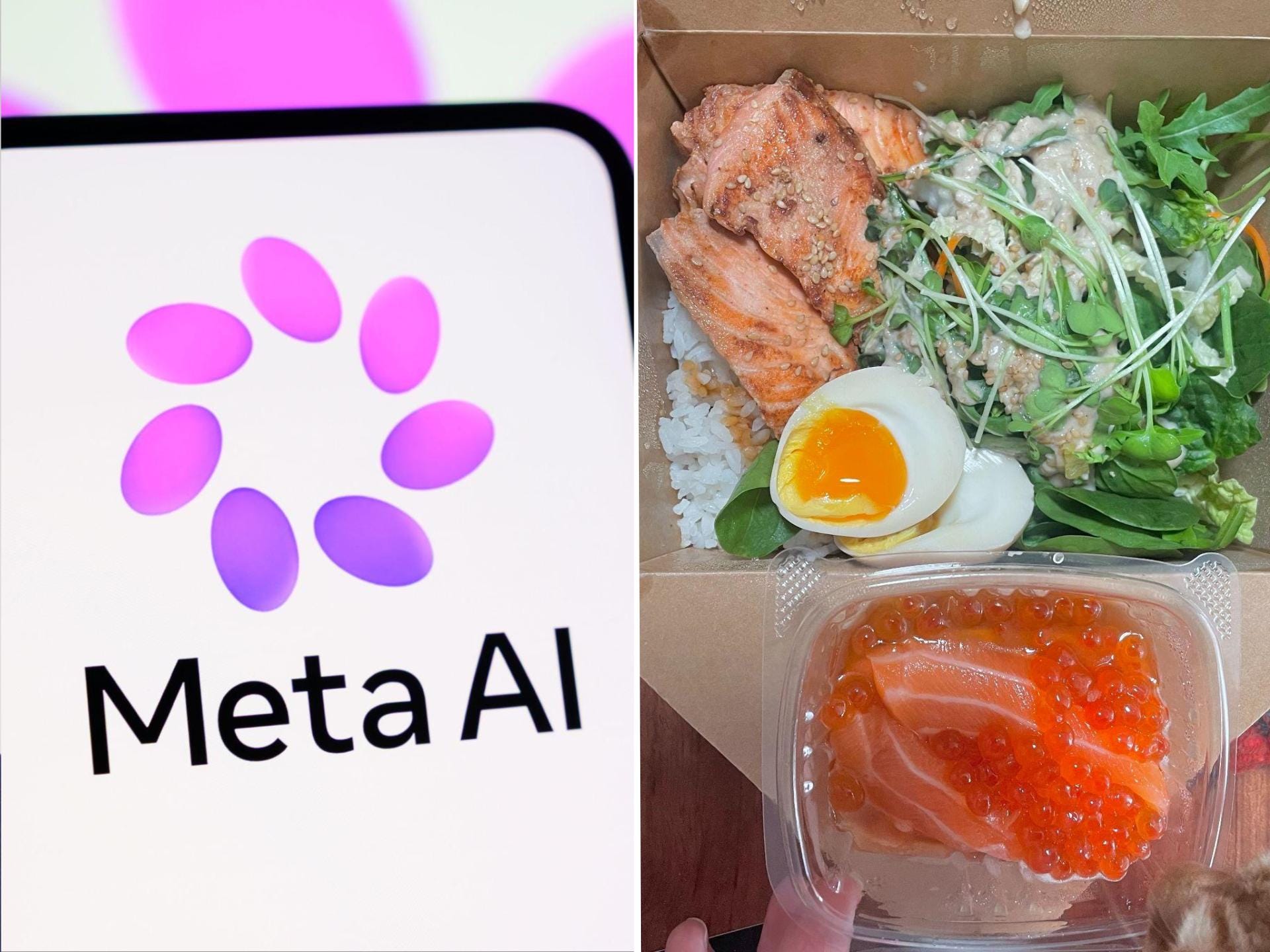 I asked Meta's new Muse Spark AI to judge my lunch and give me recipes ...
