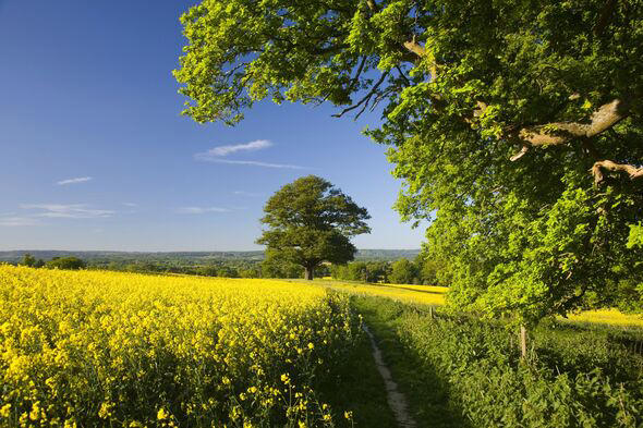 Picturesque English town with glorious walks named best place to live ...