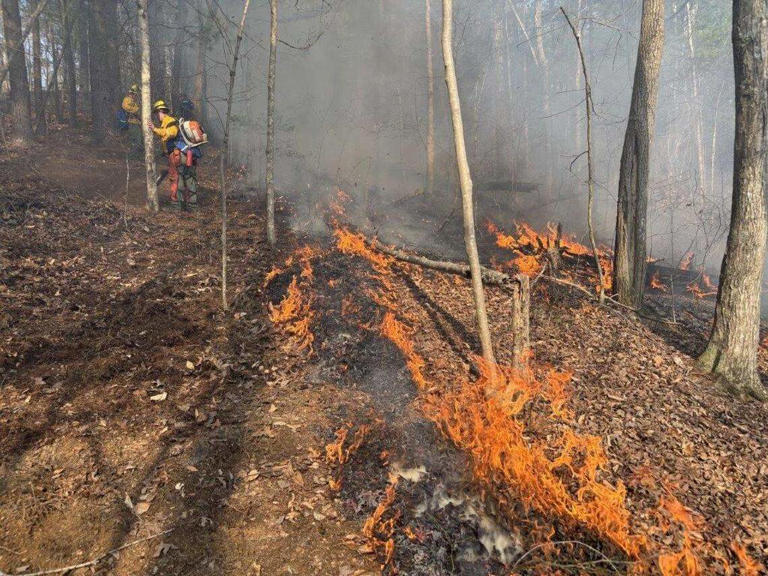 KY's overlooked wildfire risk is growing. System to fight it may be ...