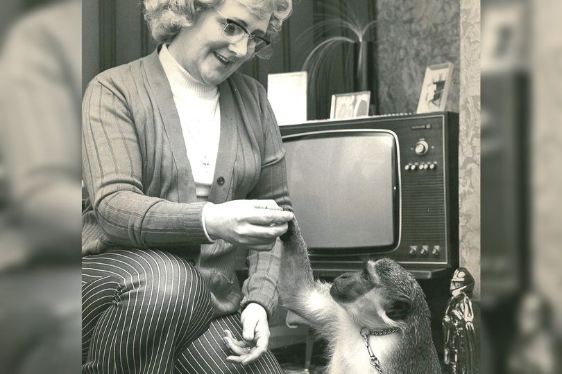 Monkeys 'smuggled' into Liverpool became popular pets for generations