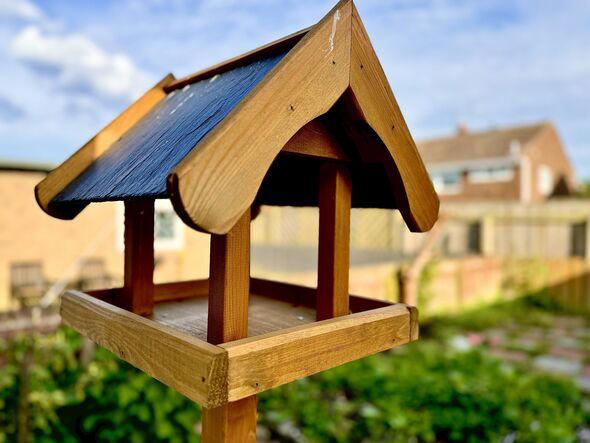 Gardeners urged to ditch bird tables for feeding birds in garden