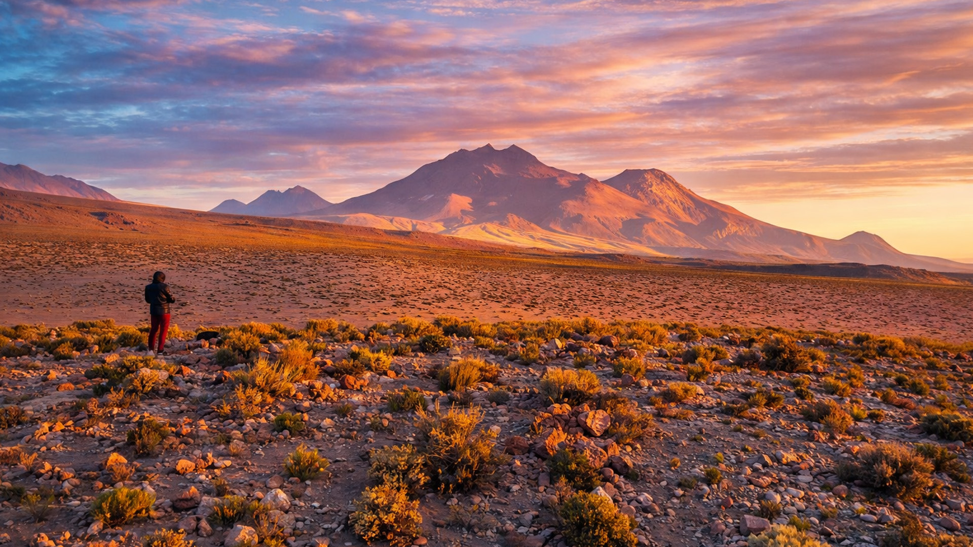 ¿Por qué el desierto de Atacama se considera el lugar más seco de la ...