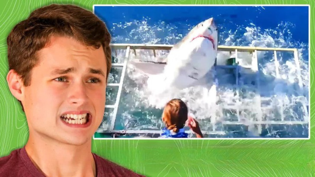 Scariest shark encounters ever caught on camera (Ray reacts)