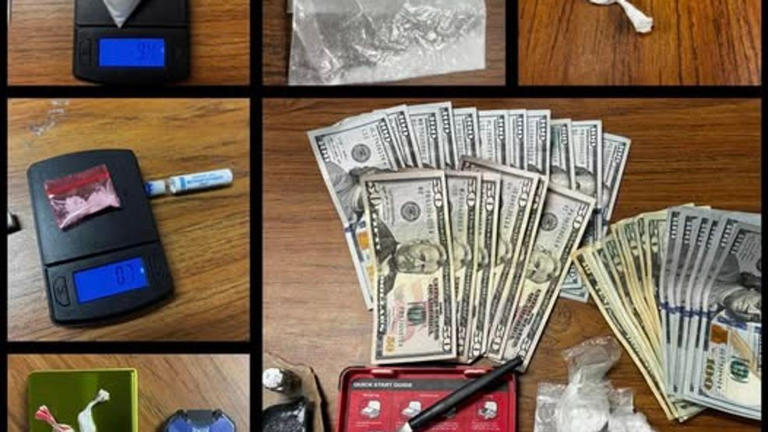 Traffic stop leads to warrant search, seizing cocaine, meth and pills