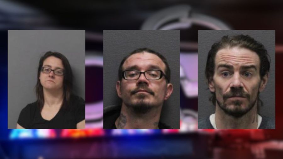 Three arrested after traffic stop in Village of Bath