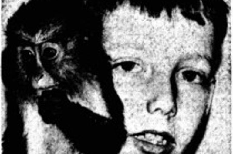 Monkeys 'smuggled' into Liverpool became popular pets for generations