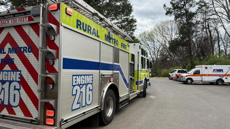 Rural Metro responding to brush fire in Halls