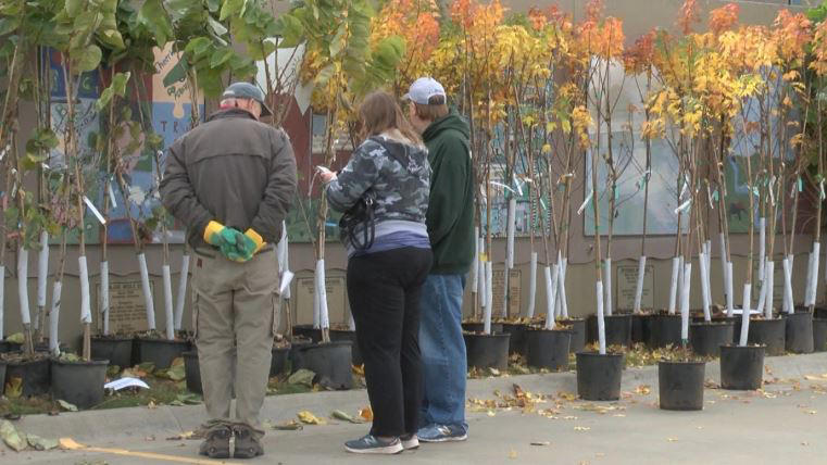 Interfaith Climate Alliance to hold native tree giveaway in Fayetteville
