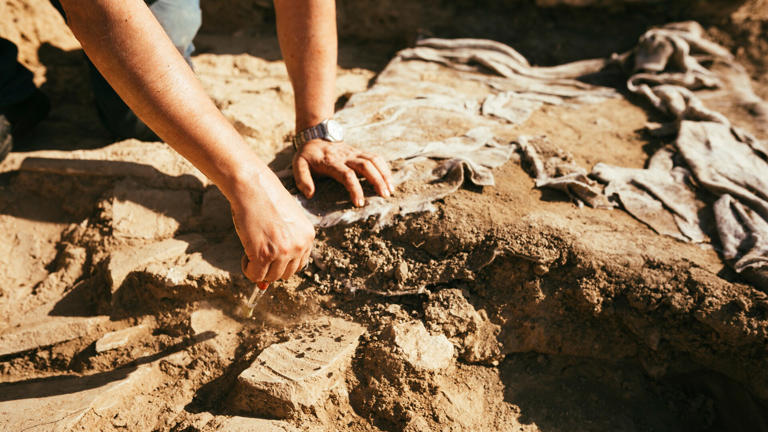 Wissenschaftler entdecken Schafpocken-DNA auf mittelalterlichem Pergament