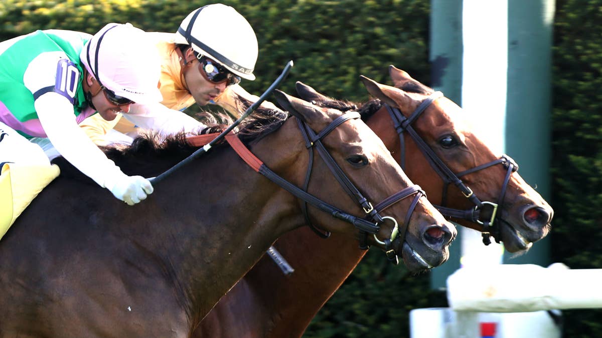 Bloodlines presented by Walmac Farm: Two races, three winners, all five ...