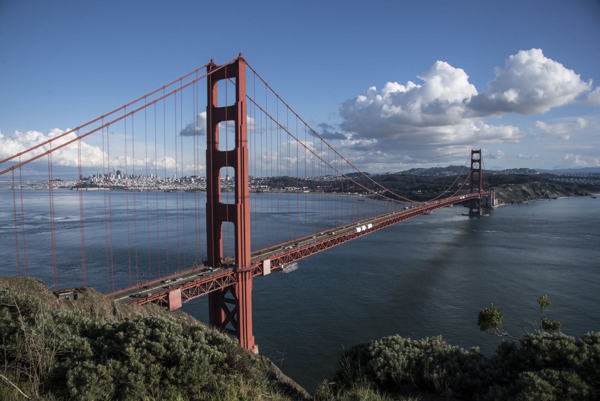 President Trump dismisses entire Presidio Trust board in San Francisco<br>